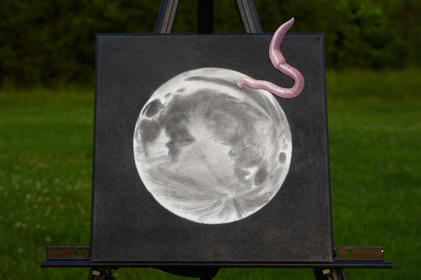 Moon Worm