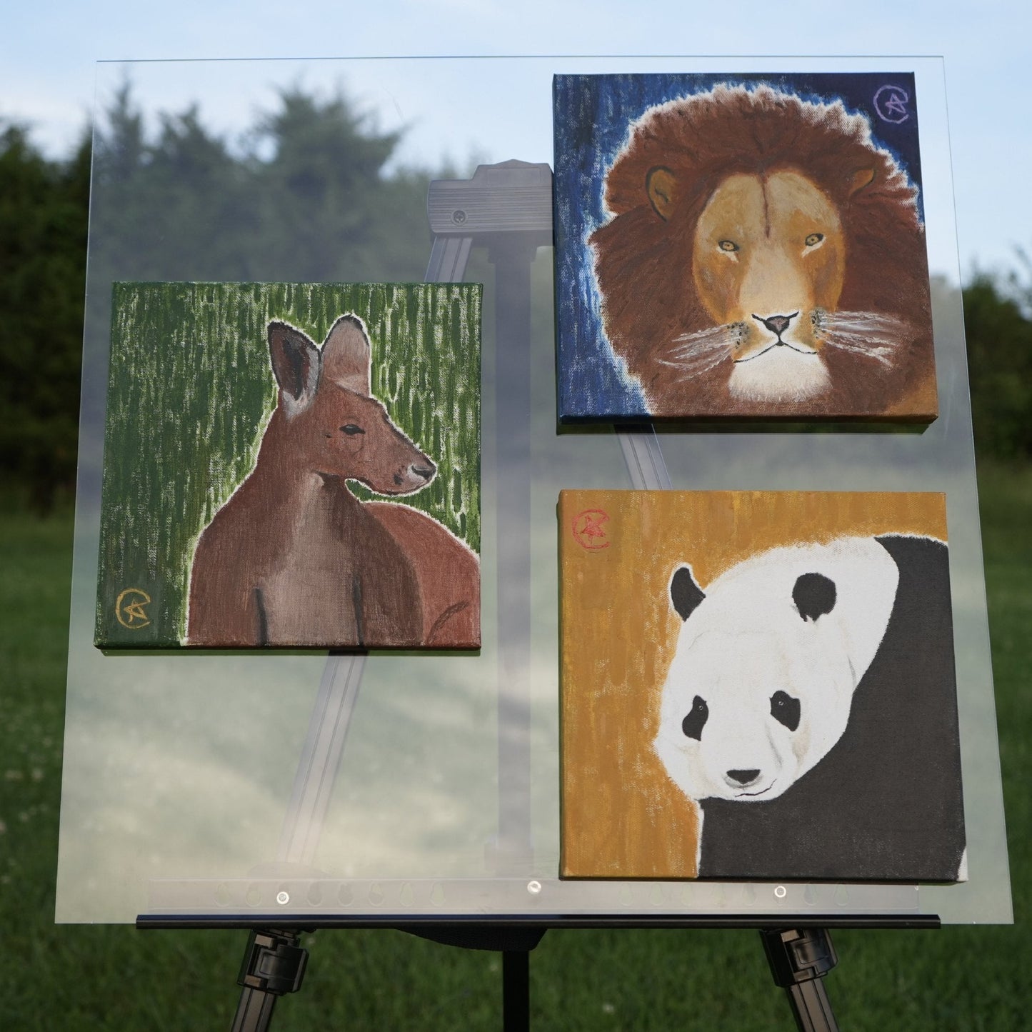 Animals .