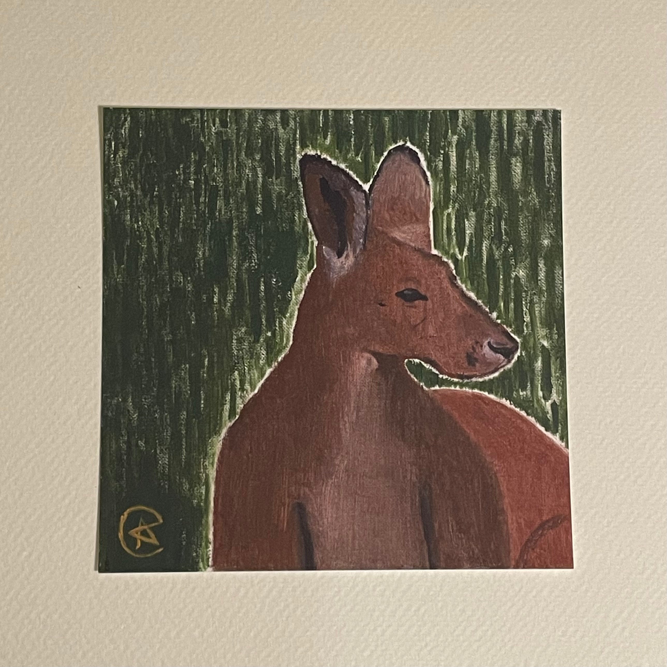 Animals . – joeymooreales